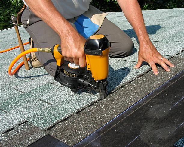 Roof Gutter Cleaning in Port Byron, IL