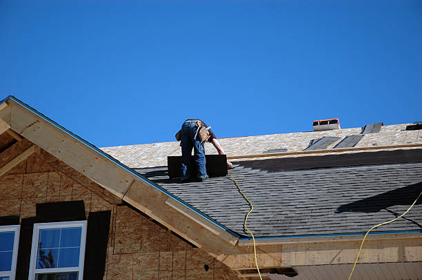 Best Roof Waterproofing Services  in Port Byron, IL