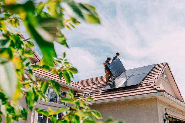 Best Roof Maintenance Services  in Port Byron, IL