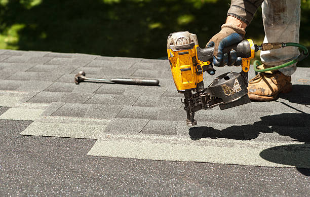 Best Roof Repair Services  in Port Byron, IL